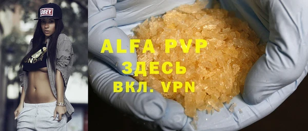 спиды Богданович