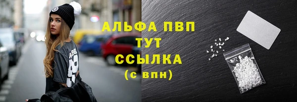 спиды Богданович