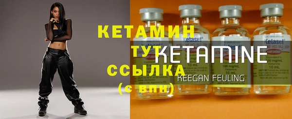 шишки Богородск