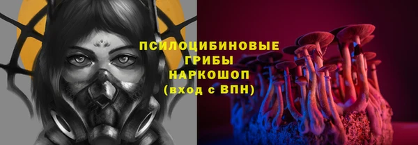 шишки Богородск