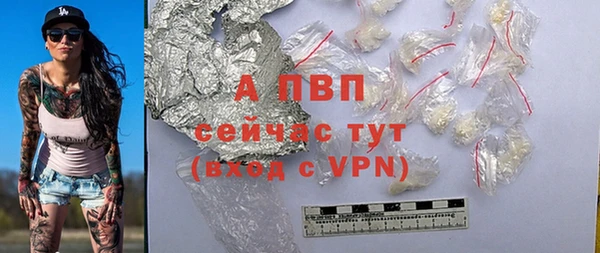 спиды Богданович